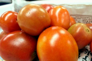 今年始めて収穫されたクッキングトマト