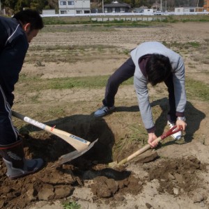 ひまわりハウスの池田さんが穴掘りを手伝って下さいました．